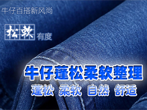 T/C混纺用蓬松柔软剂SOFTEX（索特斯）S-649